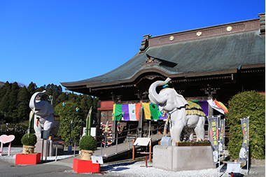 吉ゾウくん　金運アップブログ