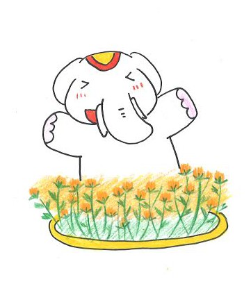 紅花と吉ゾウくんに会いに来れば運気上昇!だゾウ