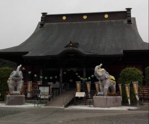 どんな願いも叶えてくれる、吉ゾウくんのいるお寺