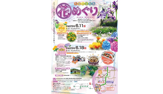 《花めぐり第1弾》紅花と花しょうぶ