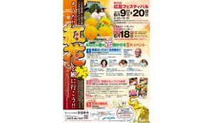 ぐるっと長南《花めぐり》紅花とアジサイ