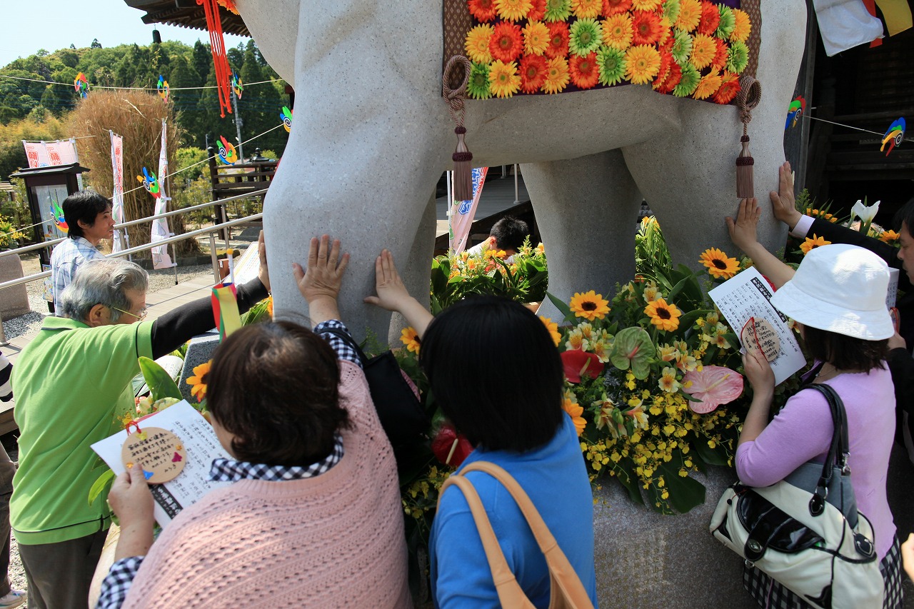 てんとう虫は幸運の前兆だゾウ 長福寿寺 千葉県