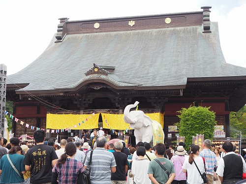 千葉県で金運アップ 宝くじ当選なら長福寿寺の 吉ゾウくん