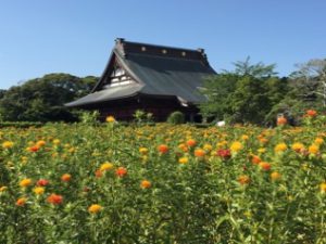 長福寿寺さん《金運》で かなり有名なお寺さんのようです