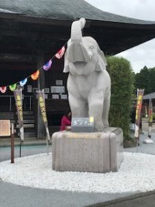 【金運爆上がり】長福寿寺にドライブ【とくダネ！放送】