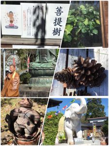 金運増大‼ 今日(10月11日)は「大安吉日」です。