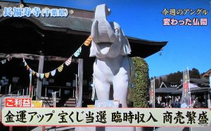 【再】『噂の東京マガジン』に吉ゾウ君が出演! 早速ご利益の方も!