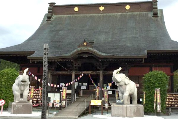 金運アップの吉ゾウくん