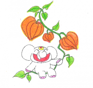 金運アップ待ち受け！【ほおずき】で金運を呼ぶゾウ♪