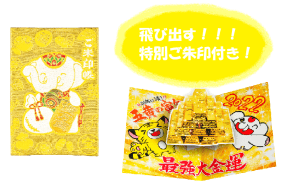 【限定300冊】開けてビックリ！飛び出す宝の山ご朱印　