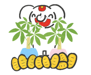 金運を上げる縁起の良い植物|パキラの待ち受け画像