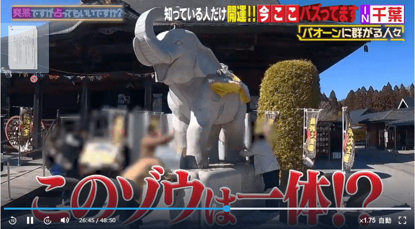 吉ゾウくん登場の『占ってもいいですか？』　TVerにて観れます！