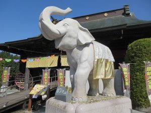 今年のnewドレス！　吉ゾウくんと結愛ちゃんが素敵です！