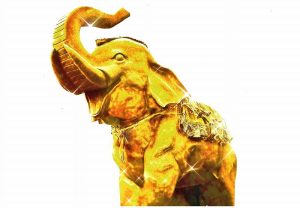 2026年は60年に一度の［丙午（ひのえうま）］の年。お金や運氣が大きく加速する年！