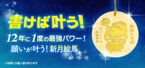 \本日〆切/《書けば願いが叶う!》12年に1度の新月パワー