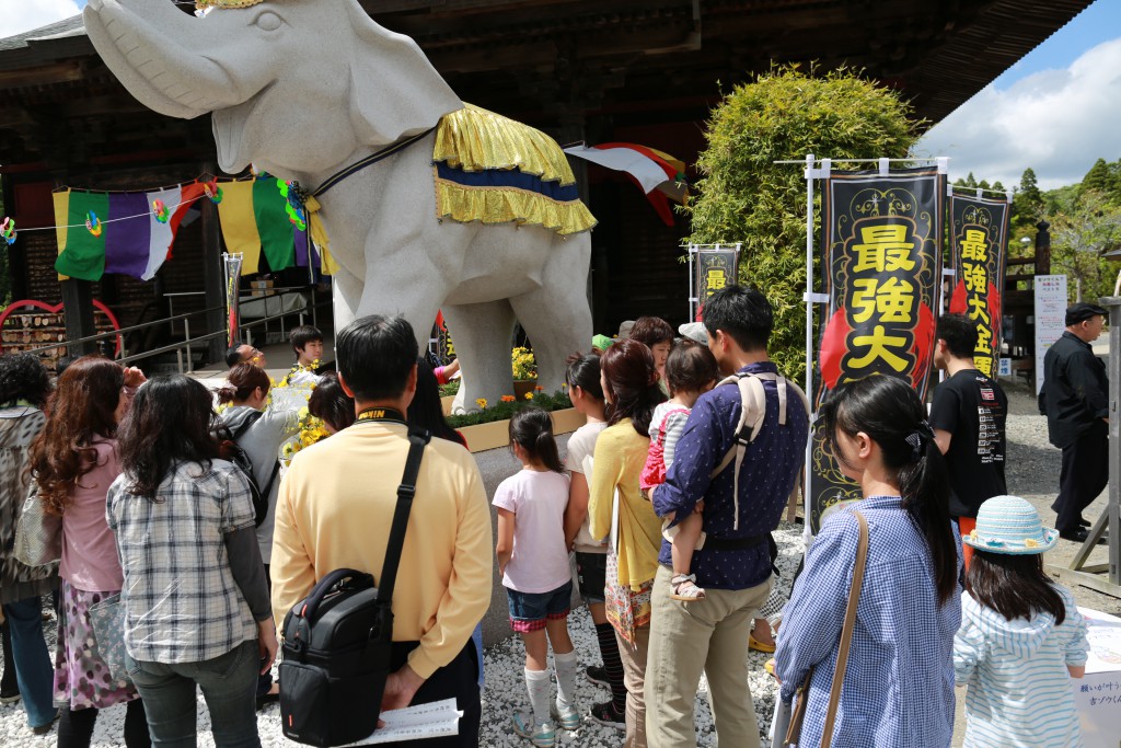 ぶっちゃけ寺に《金運アップの吉ゾウくん》が出る!