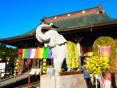 アミーカ　初詣限定企画 第5回ぐるっと長南　