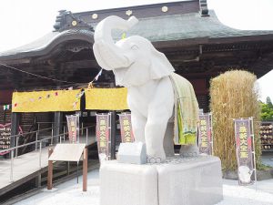 かわいいゾウさん、吉ゾウくんで有名なお寺です。