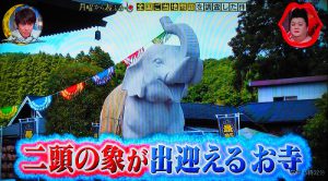 【月曜から夜ふかし】に《吉ゾウくん》が出演！　長福寿寺