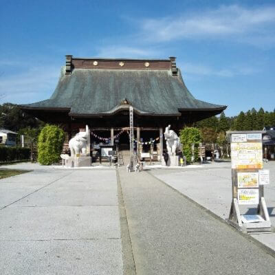 千葉県の人気パワースポット「長福寿寺」へ！吉ゾウくんで金運ＵＰ＆良いことあるよ♪