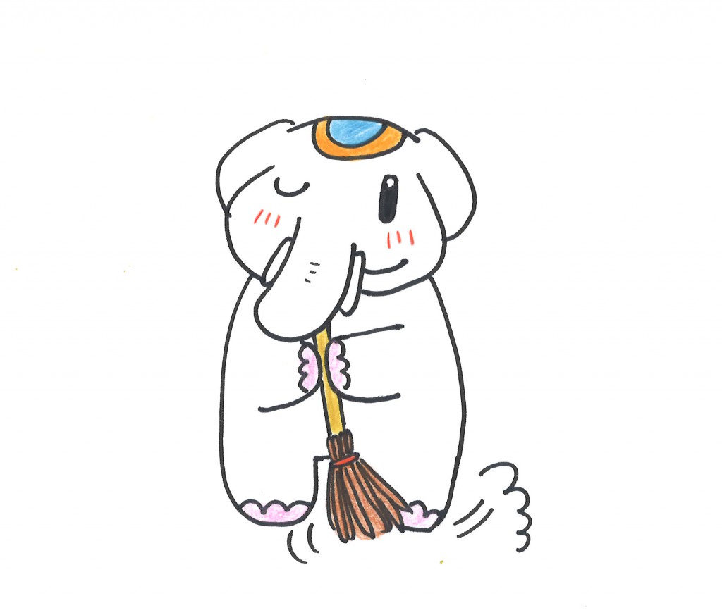 朝掃除をすると金運を呼び込むゾウ♡