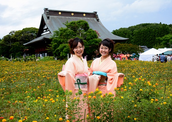 ～関東随一！10万本の紅花の里～長福寿寺