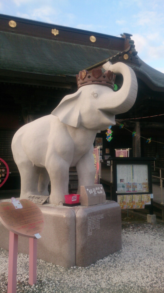 結愛ちゃん (ゆめちゃん)