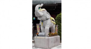 吉ゾウくんの真実~長福寿寺続編~