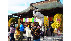 トリップアドバイザーの口コミ 「明るいお寺」