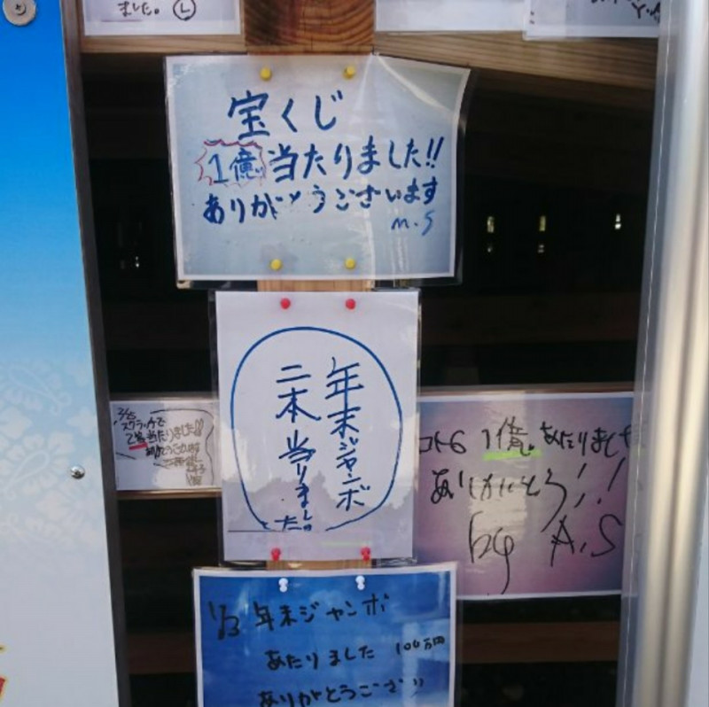 白ふくろう①