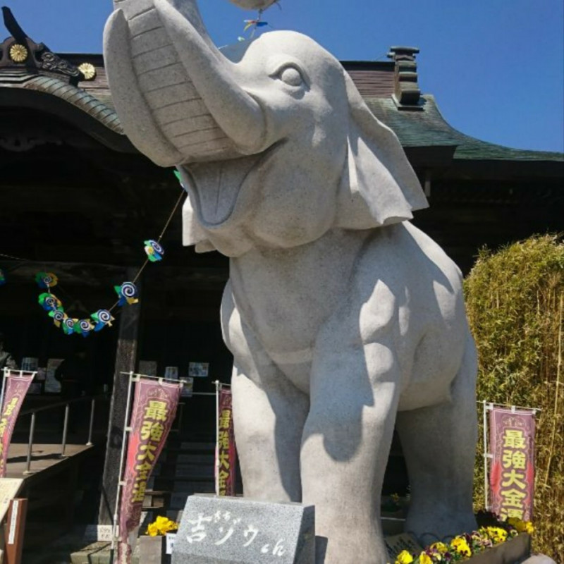 白ふくろう②