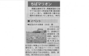 金運の花《紅花》のタネまきが「朝日新聞」に紹介!