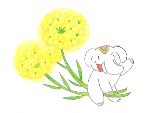 金運アップ待ち受け!吉ゾウくんと【菜の花】だゾウ♪