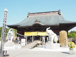 話題のゾウの寺 – 長福寿寺の口コミ（千葉県）