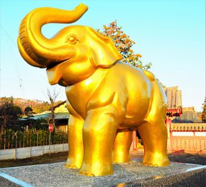 『金は天下に回すもの』 金運をアップし続ける秘訣