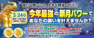 直接の来山ならば間に合います! 「あなたの願いを叶える」最強の新月祭
