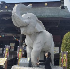 【YouTube動画】女優の南山あずささんがお参りに来たゾウ♫