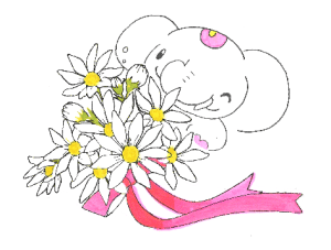 金運を引き寄せる縁起の良い花|マーガレットの待ち受け画像