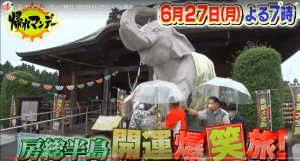 テレビ朝日『帰れマンデー見っけ隊!!』に吉ゾウくんが登場!