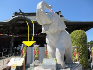 \本日〆切/あなたのお名前を刻みます(吉ゾウくんの後方・屏風石)