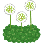 乙(きのと)2023年の運勢・金運アップ方法|四柱推命で鑑定